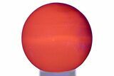 Polished Pink Manganoan (Mangano) Calcite Sphere - Fluorescent! #335019-2